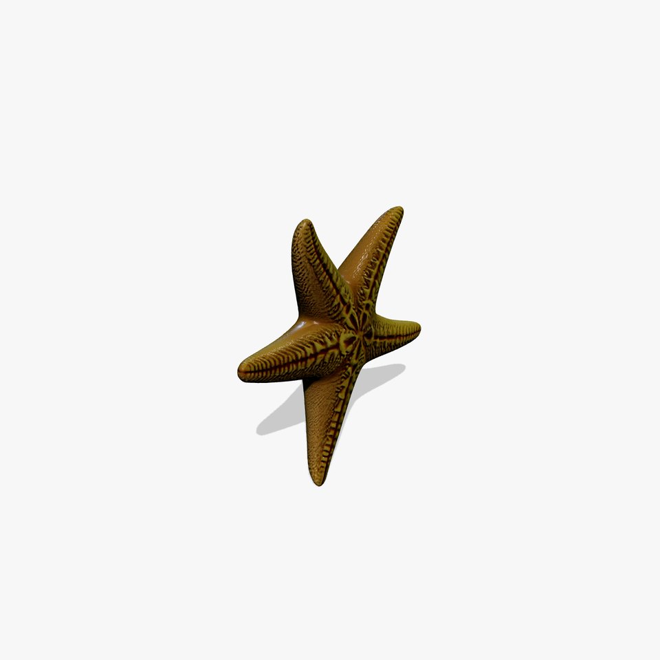 Realistic Textured Starfish Marine Model Pack